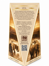 Ceylon Black Tea, USA, Leaf of Ceylon, "Basilur", 30g, 15 pyramid Tea Bags