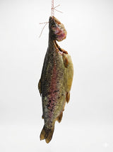 Deli Scale - Trout