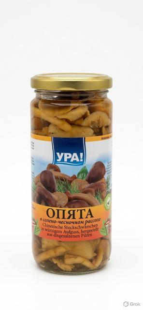Marinated Nameko Mushrooms (Opyata) - YRA 480g